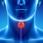FNA thyroid e1769682401529