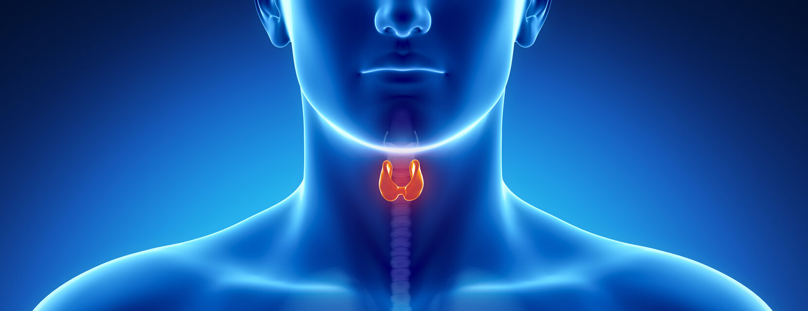FNA thyroid e1769682401529